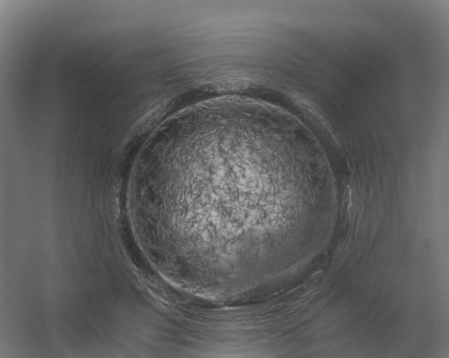 X0000056340501200509021659