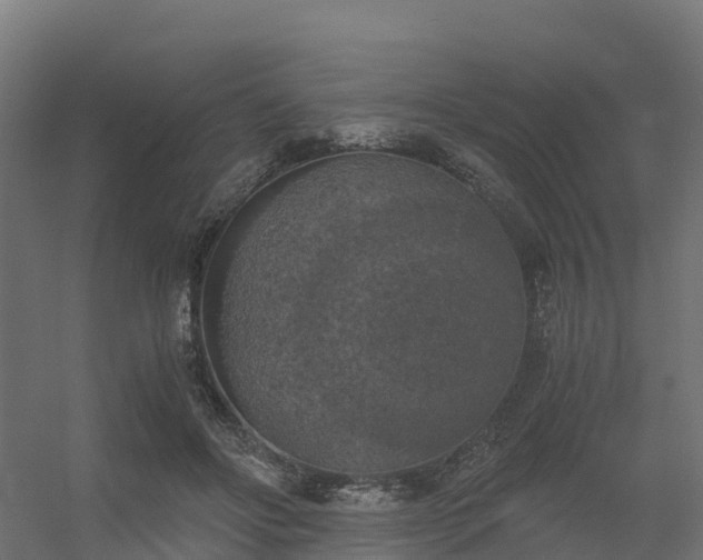 X0000056340502200509021659