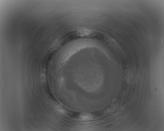 X0000056340510200509021659
