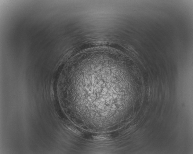 X0000056340516200509021659