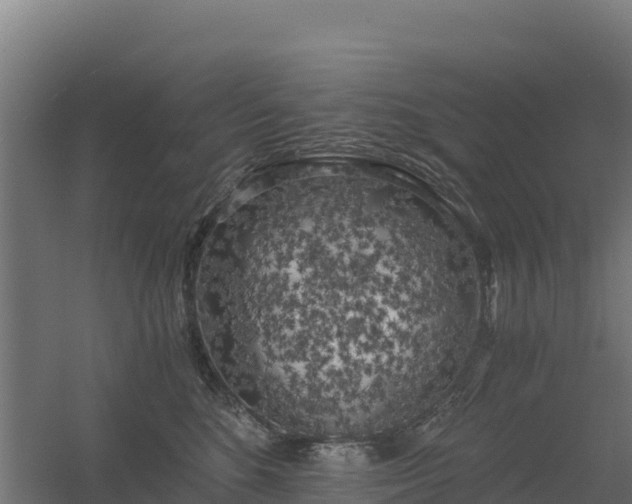 X0000056340520200509021659