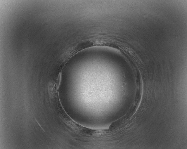 X0000056340521200509021659