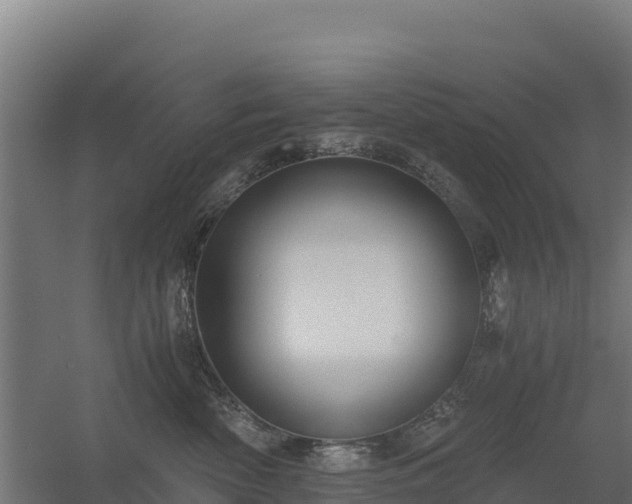X0000056340522200509021659