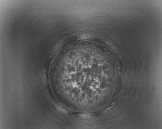 X0000056340524200509021659