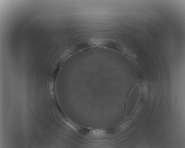 X0000056340526200509021659