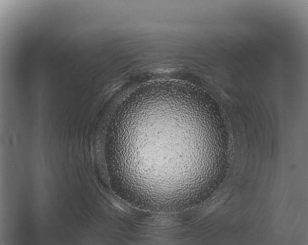 X0000056340528200509021659