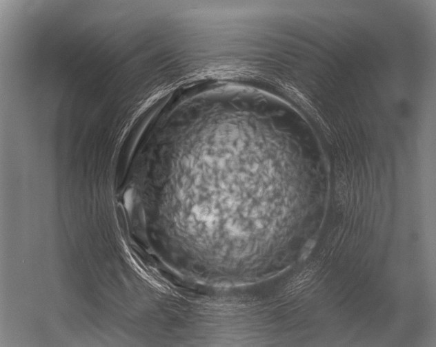 X0000056340530200509021658