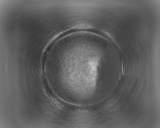 X0000056340531200509021658
