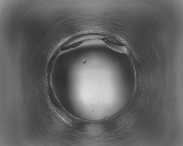 X0000056340535200509021658