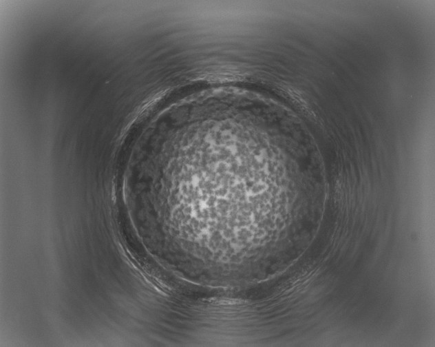 X0000056340539200509021658