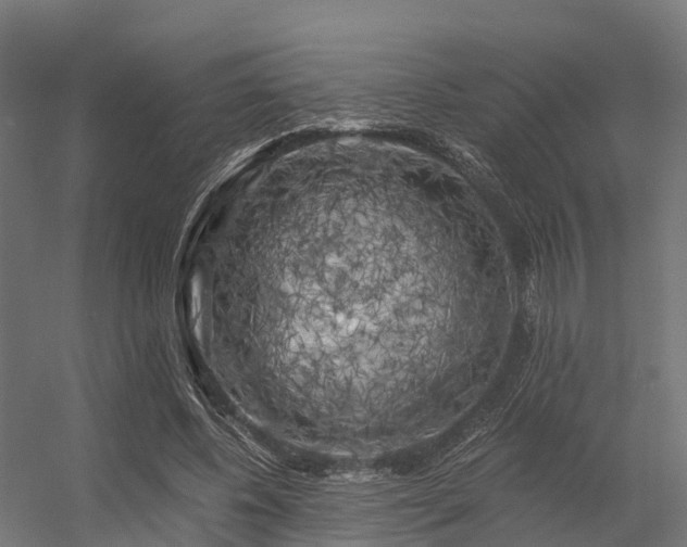 X0000056340540200509021658
