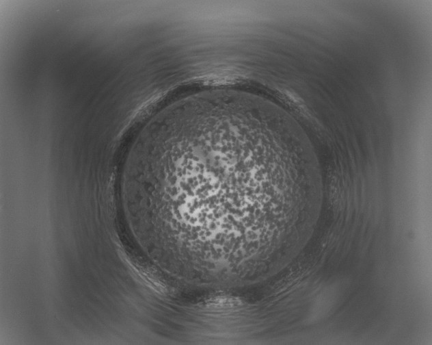 X0000056340543200509021658