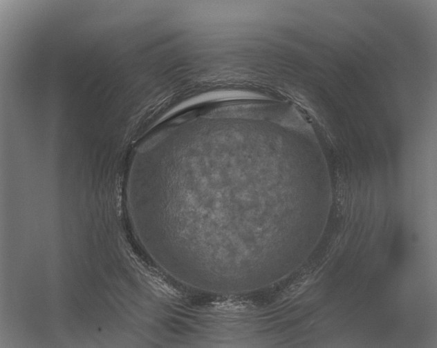 X0000056340545200509021658