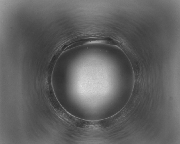 X0000056340548200509021658
