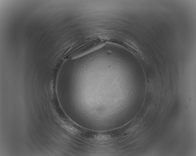 X0000056340549200509021658