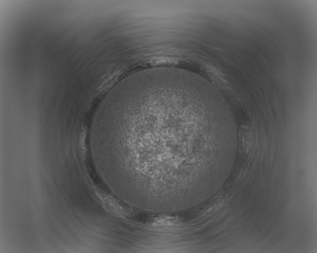 X0000056340550200509021658