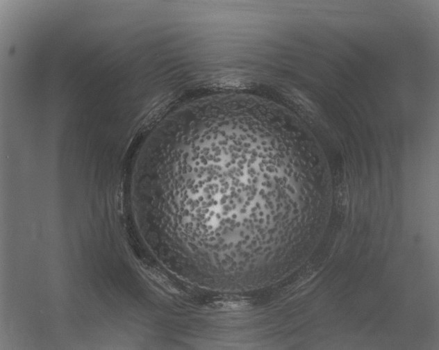X0000056340552200509021658