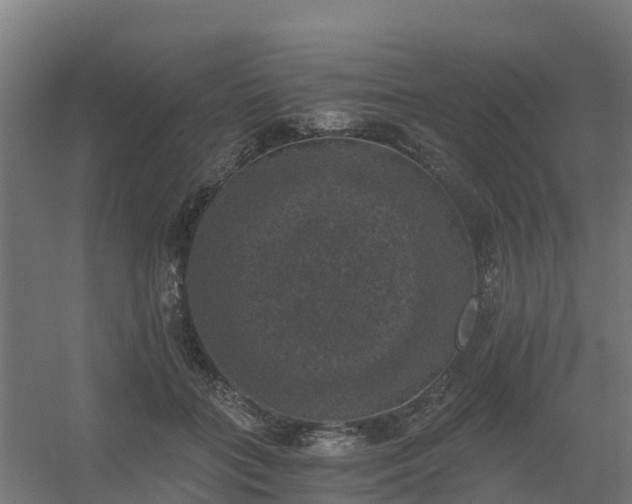 X0000056340555200509021658
