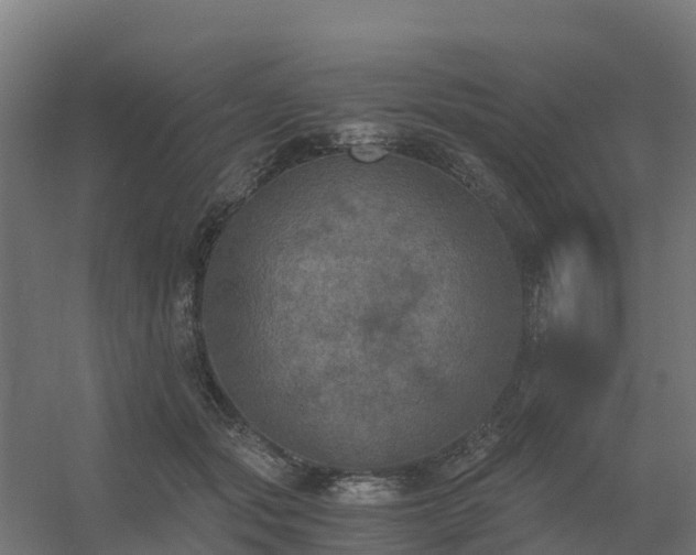 X0000056340557200509021658