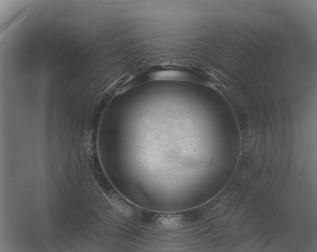 X0000056340560200509021658