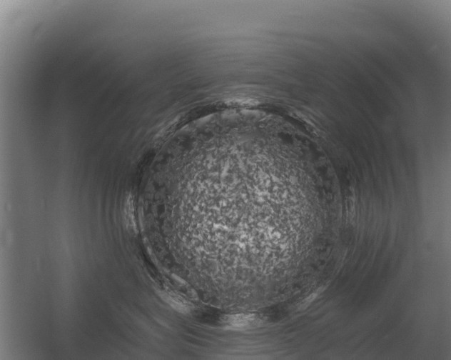 X0000056340575200509021659