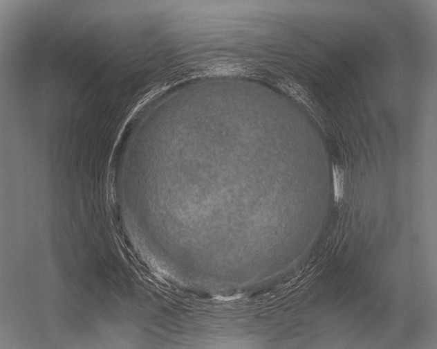 X0000056340579200509021658