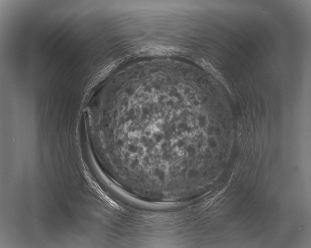 X0000056340581200509021658