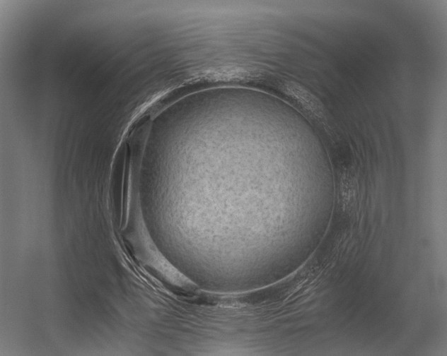 X0000056340583200509021658