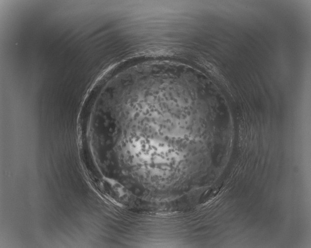 X0000056340584200509021658