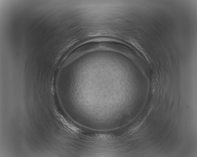 X0000056340585200509021658