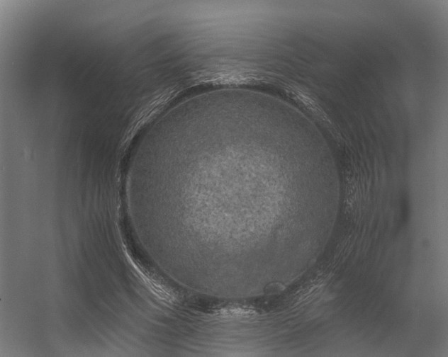 X0000056340586200509021658