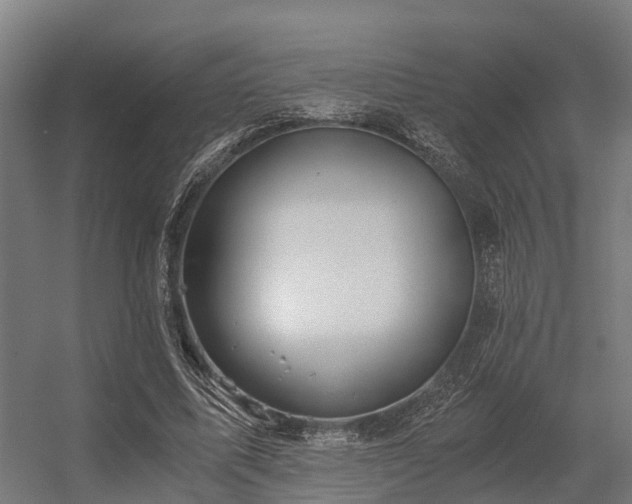 X0000056340587200509021658