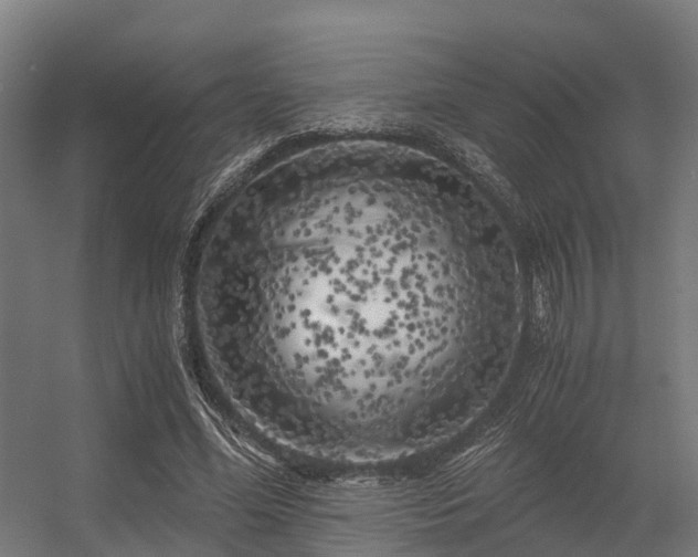 X0000056340588200509021658