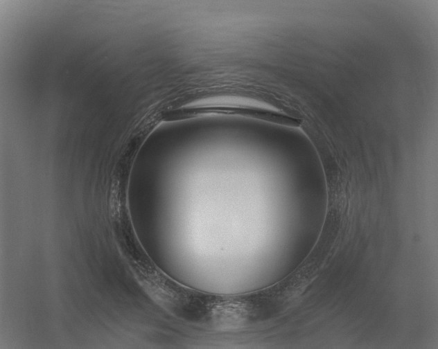 X0000056340599200509021657
