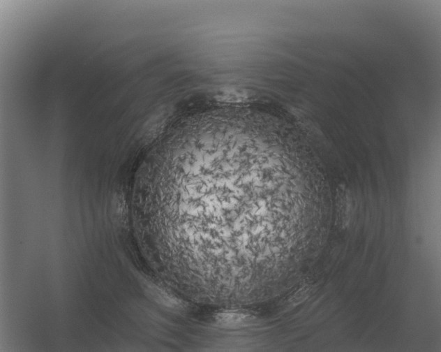 X0000056340614200509021657