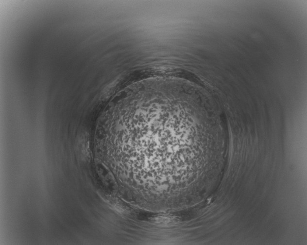 X0000056340615200509021657