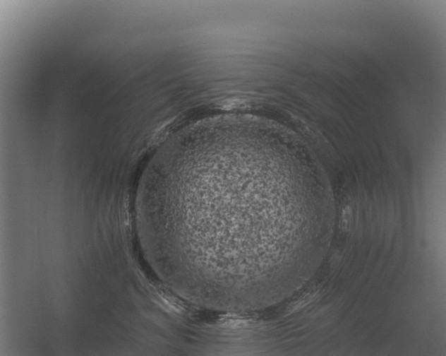 X0000056340620200509021657