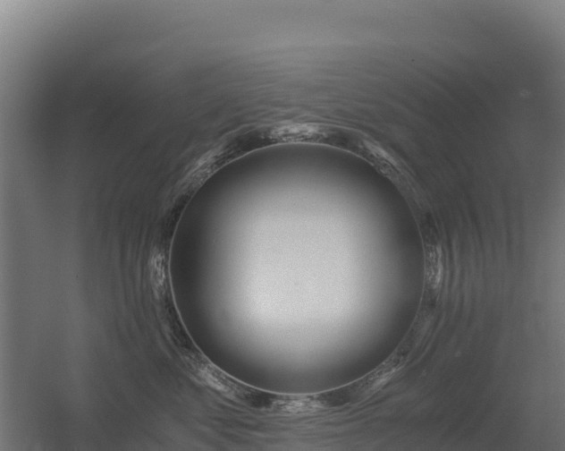 X0000056340621200509021657