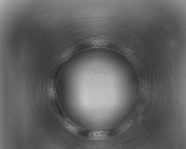 X0000056340622200509021657
