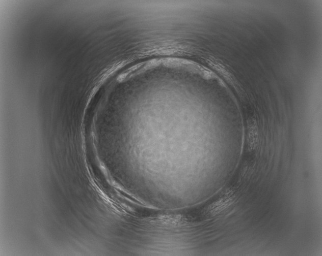 X0000056340626200509021656