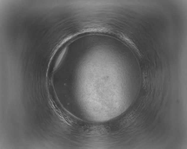 X0000056340628200509021656