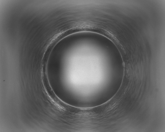 X0000056340629200509021656