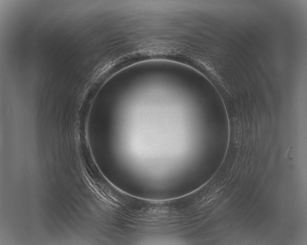 X0000056340631200509021656