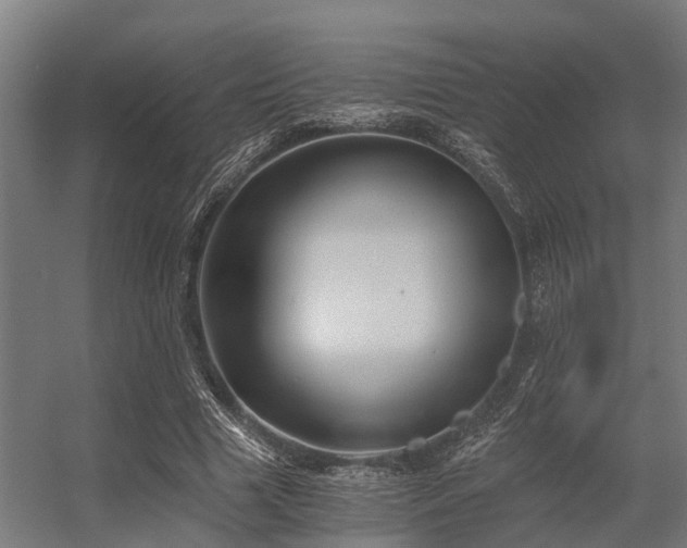 X0000056340633200509021656