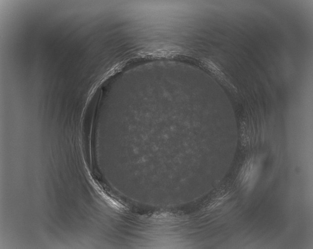X0000056340634200509021656