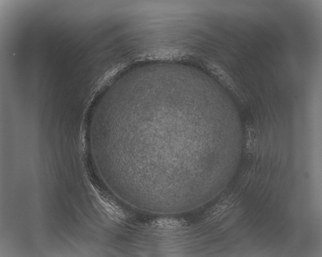 X0000056340636200509021656