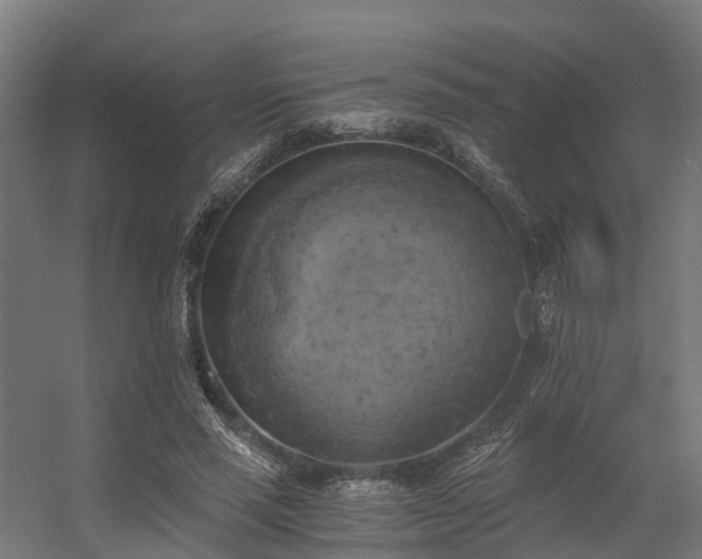 X0000056340637200509021656