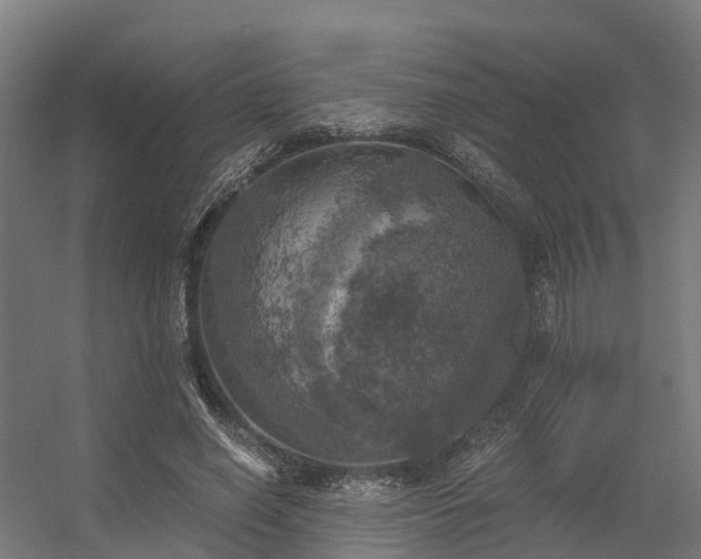 X0000056340638200509021656