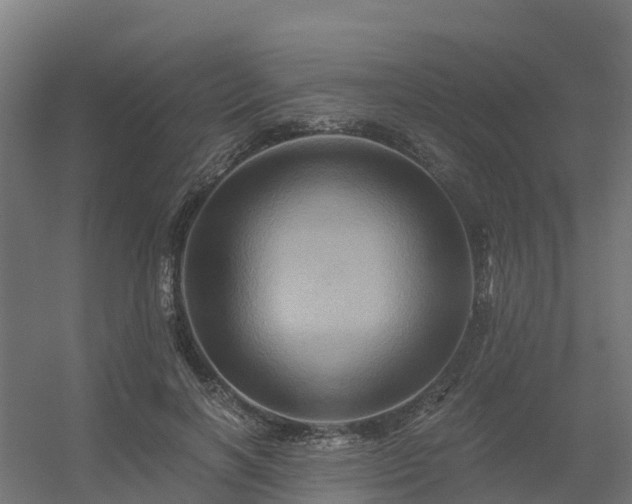 X0000056340646200509021657