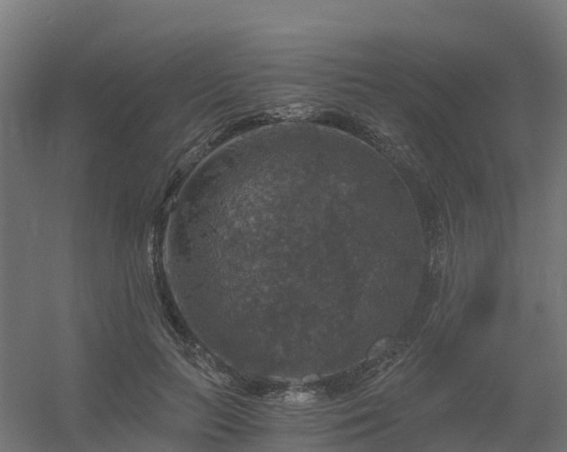 X0000056340647200509021657
